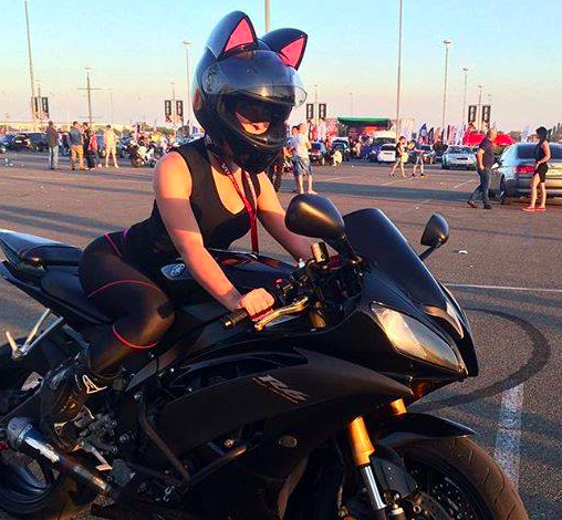 could i get arrested for cat motorcycle helmet Motorcycle Cat Helmet – Loud Diesels
